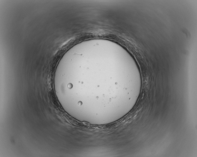 X0000111891205200908131647