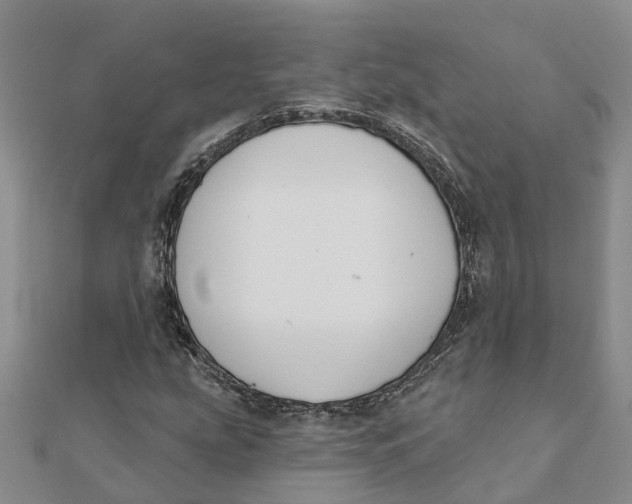 X0000111891207200908131647