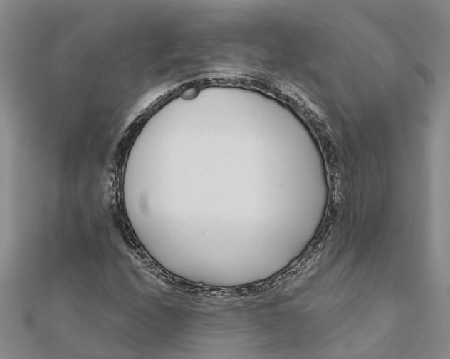 X0000111891208200908131647