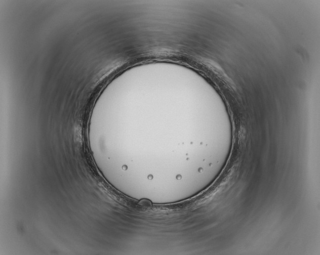 X0000111891209200908131647