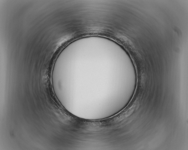 X0000111891210200908131647