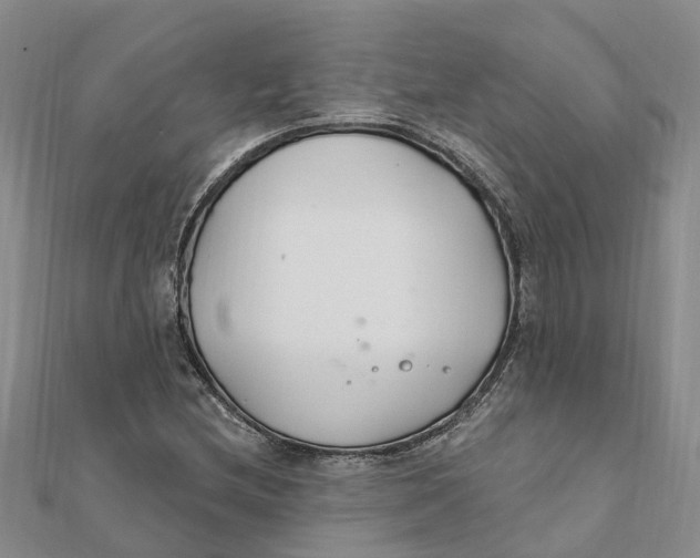 X0000111891212200908131647