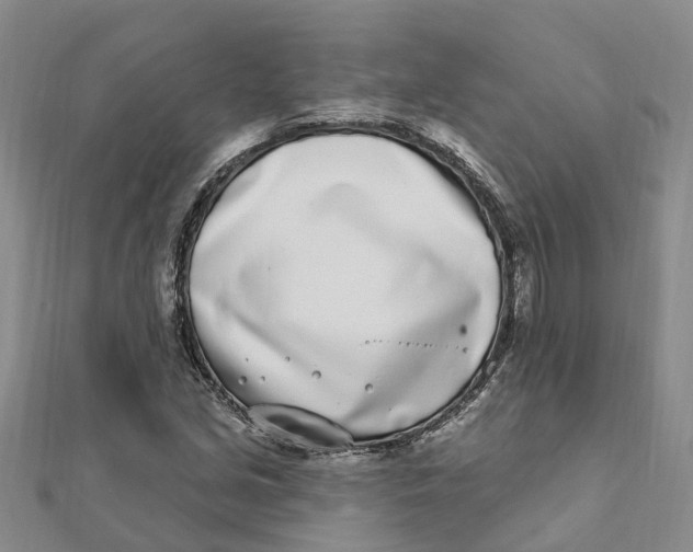 X0000111891213200908131647