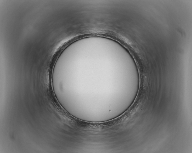 X0000111891214200908131647