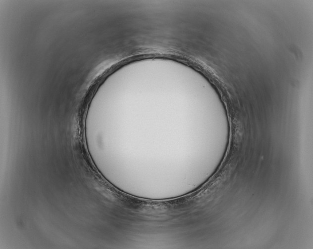 X0000111891215200908131647