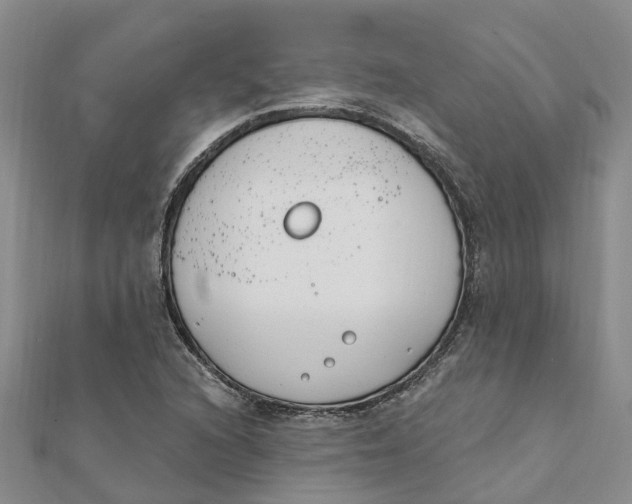 X0000111891216200908131647