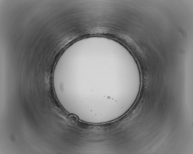 X0000111891217200908131647