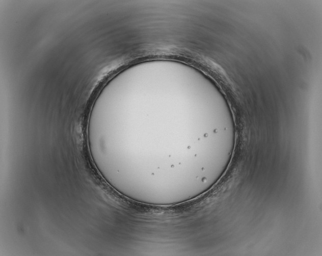 X0000111891218200908131647