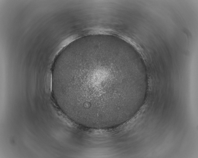 X0000111891219200908131647