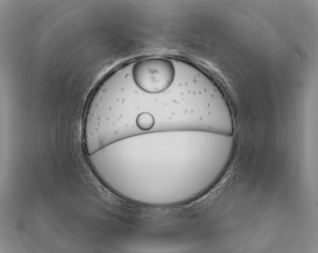 X0000111891220200908131647