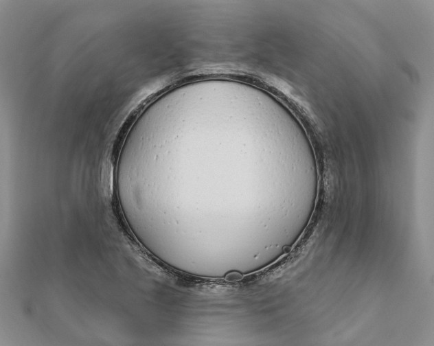 X0000111891221200908131647