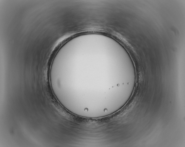 X0000111891222200908131647