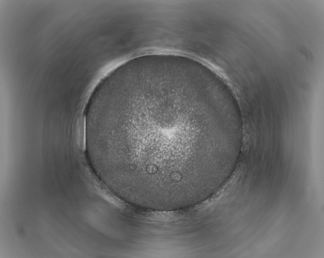 X0000111891223200908131647