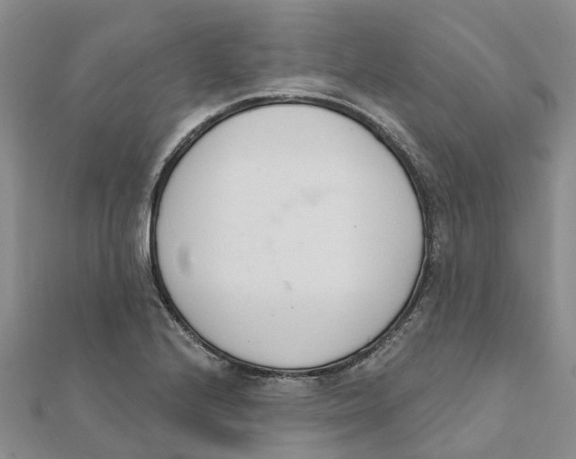 X0000111891224200908131647