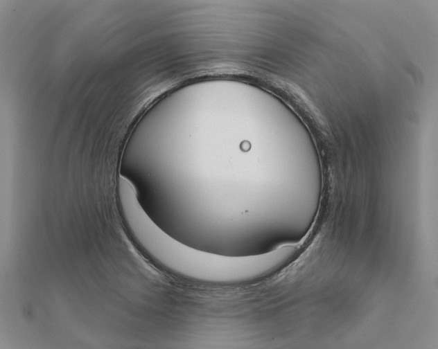 X0000111891225200908131647