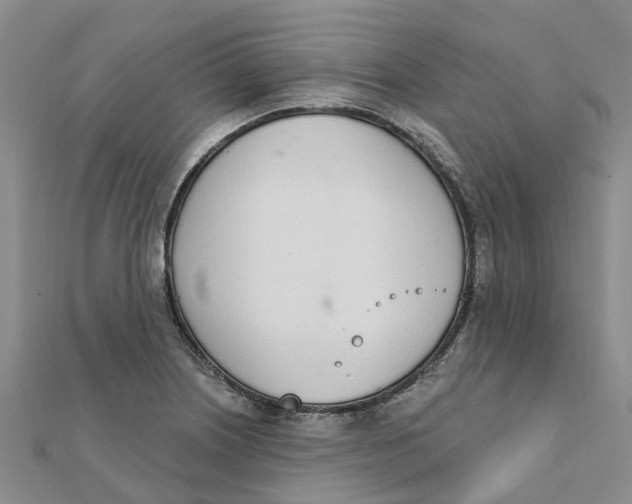 X0000111891226200908131647