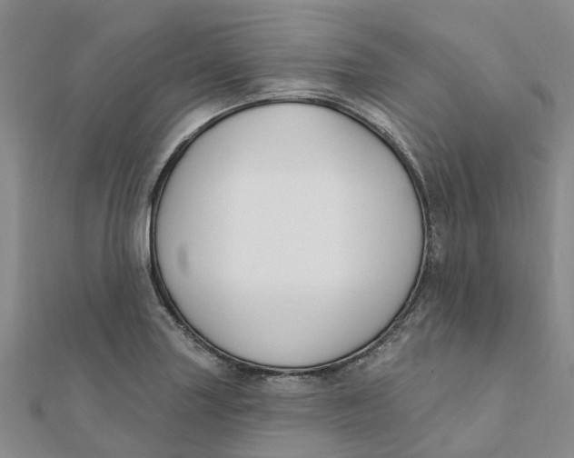 X0000111891227200908131647