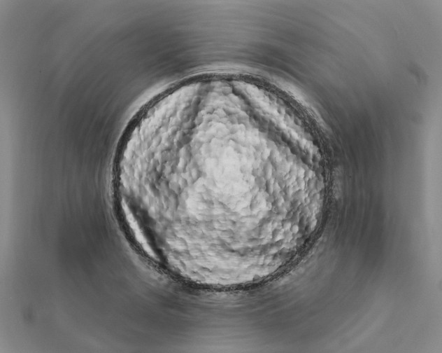 X0000111891229200908131647