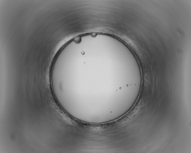 X0000111891230200908131647