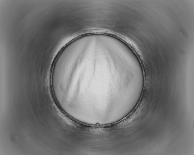 X0000111891231200908131647