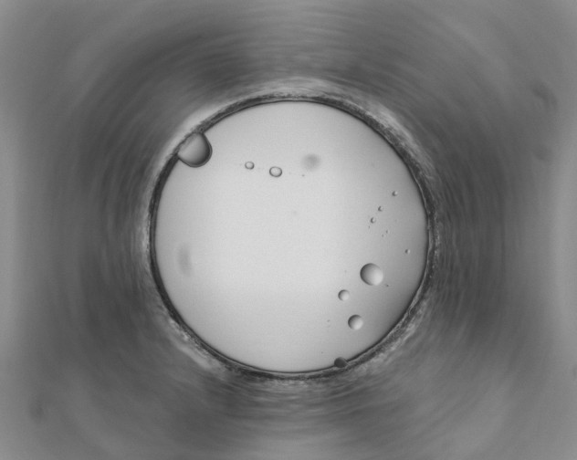 X0000111891232200908131647