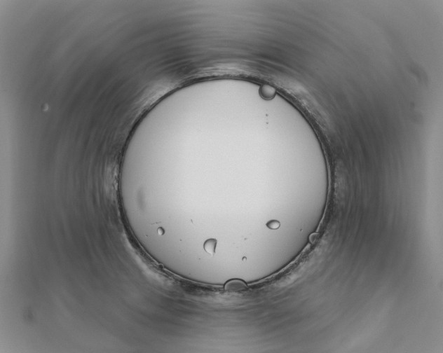 X0000111891233200908131647