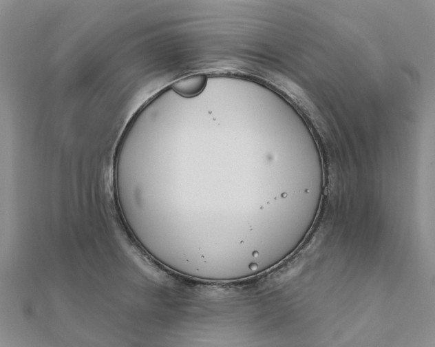 X0000111891234200908131647