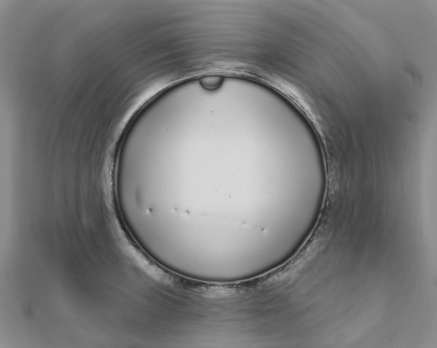 X0000111891235200908131647