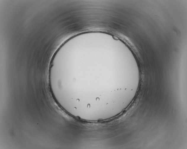 X0000111891236200908131647