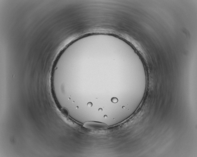 X0000111891237200908131647