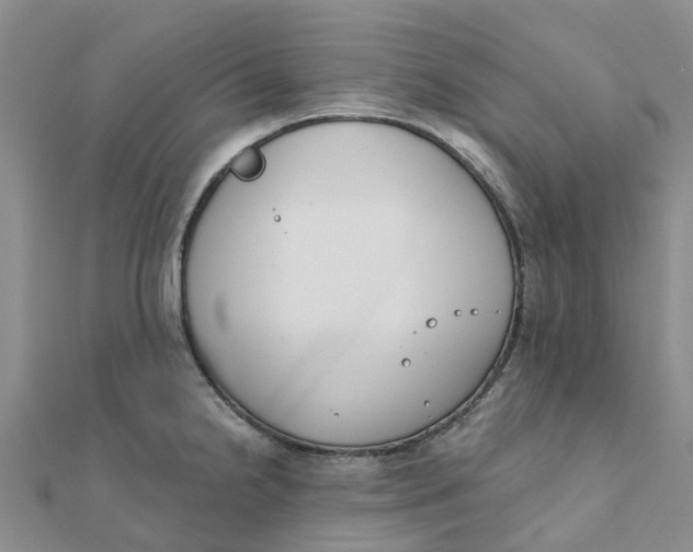 X0000111891238200908131647