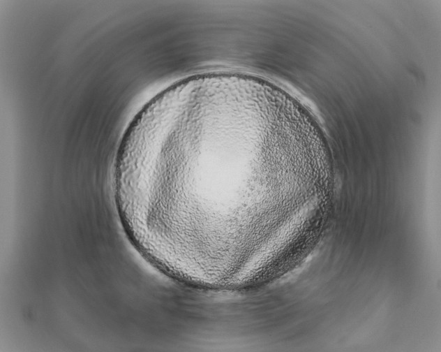 X0000111891239200908131648