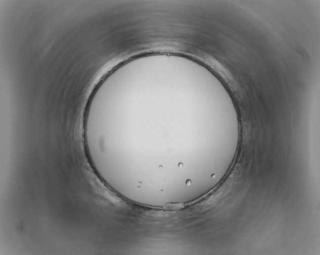 X0000111891240200908131648