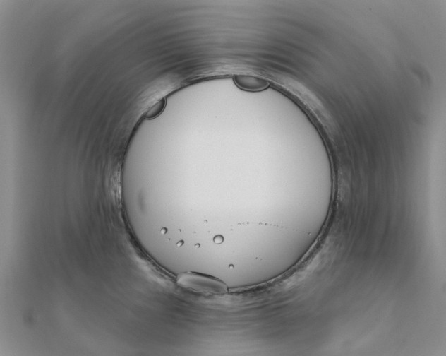 X0000111891241200908131648