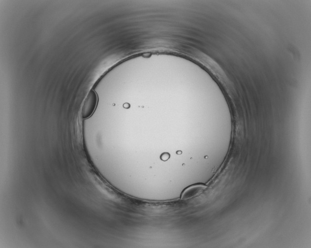 X0000111891242200908131648