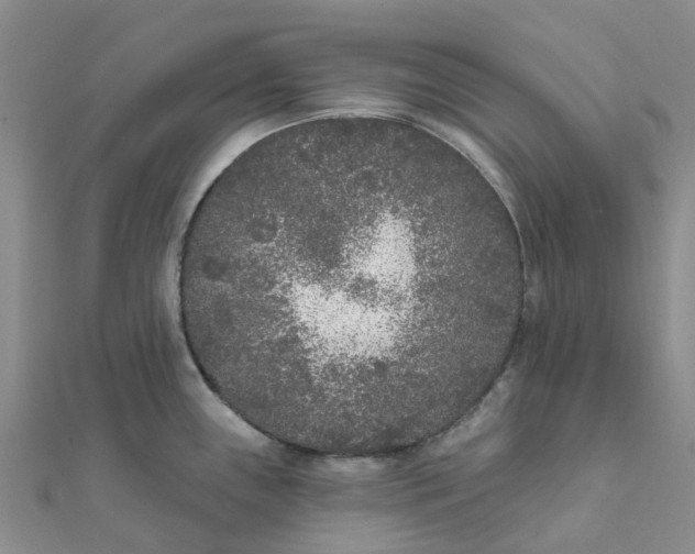 X0000111891243200908131648