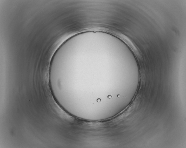 X0000111891244200908131648