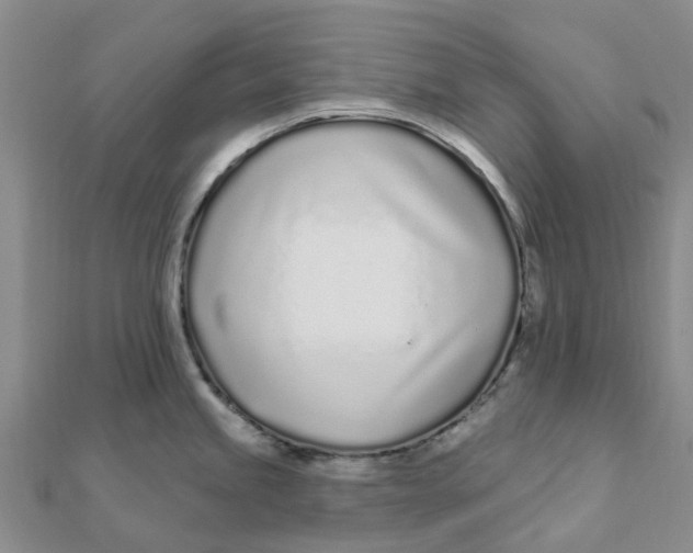 X0000111891245200908131648