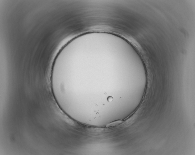 X0000111891248200908131648