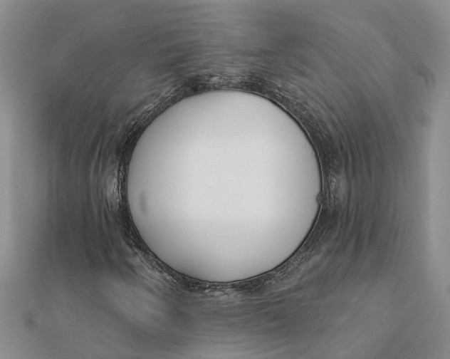 X0000111891250200908131647