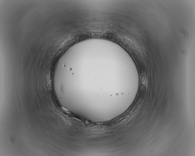 X0000111891252200908131647