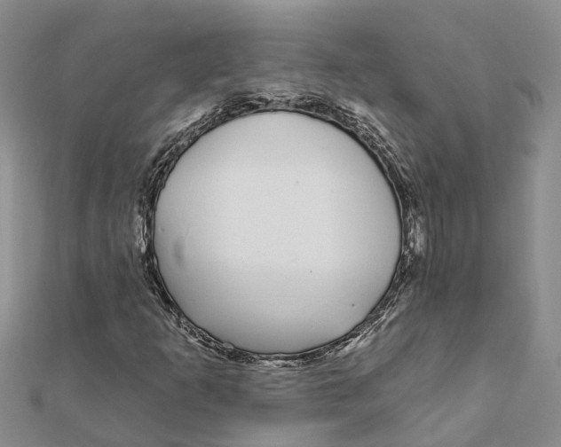 X0000111891253200908131647