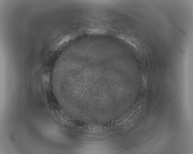 X0000111891254200908131647