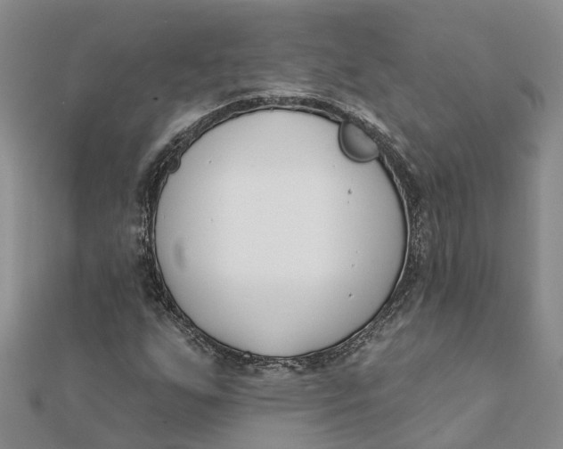 X0000111891255200908131647