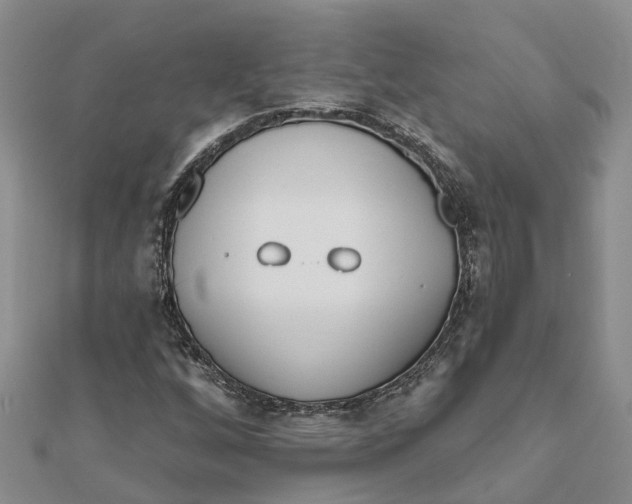 X0000111891256200908131647