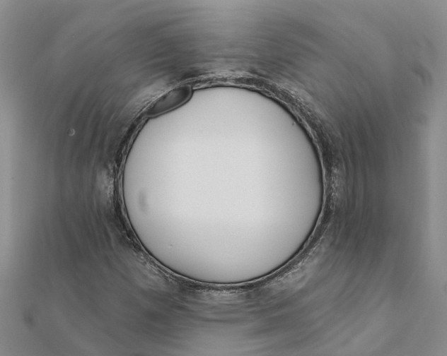 X0000111891257200908131647