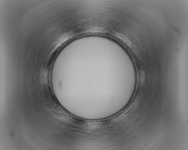 X0000111891258200908131647