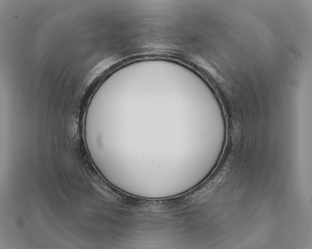 X0000111891259200908131647