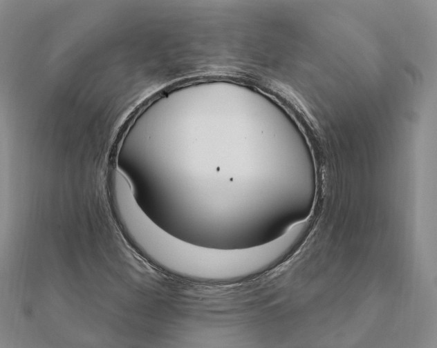 X0000111891260200908131647