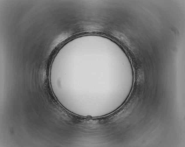 X0000111891261200908131647